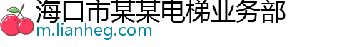 海口市某某电梯业务部